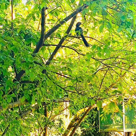 Gamagedara Resort Dambulla Kültér fotó